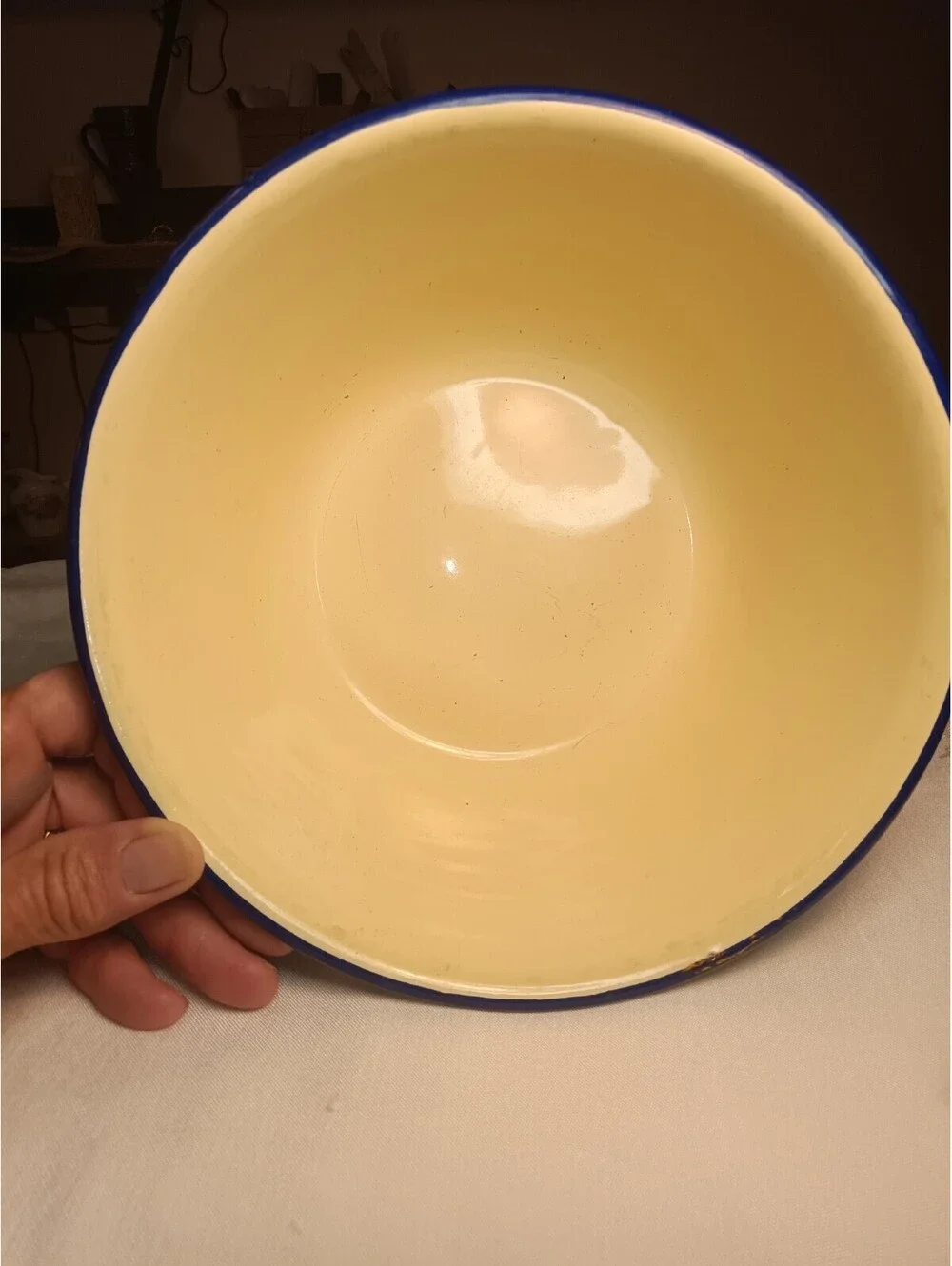 Vintage Enamelware Fruit Bowl 8.5